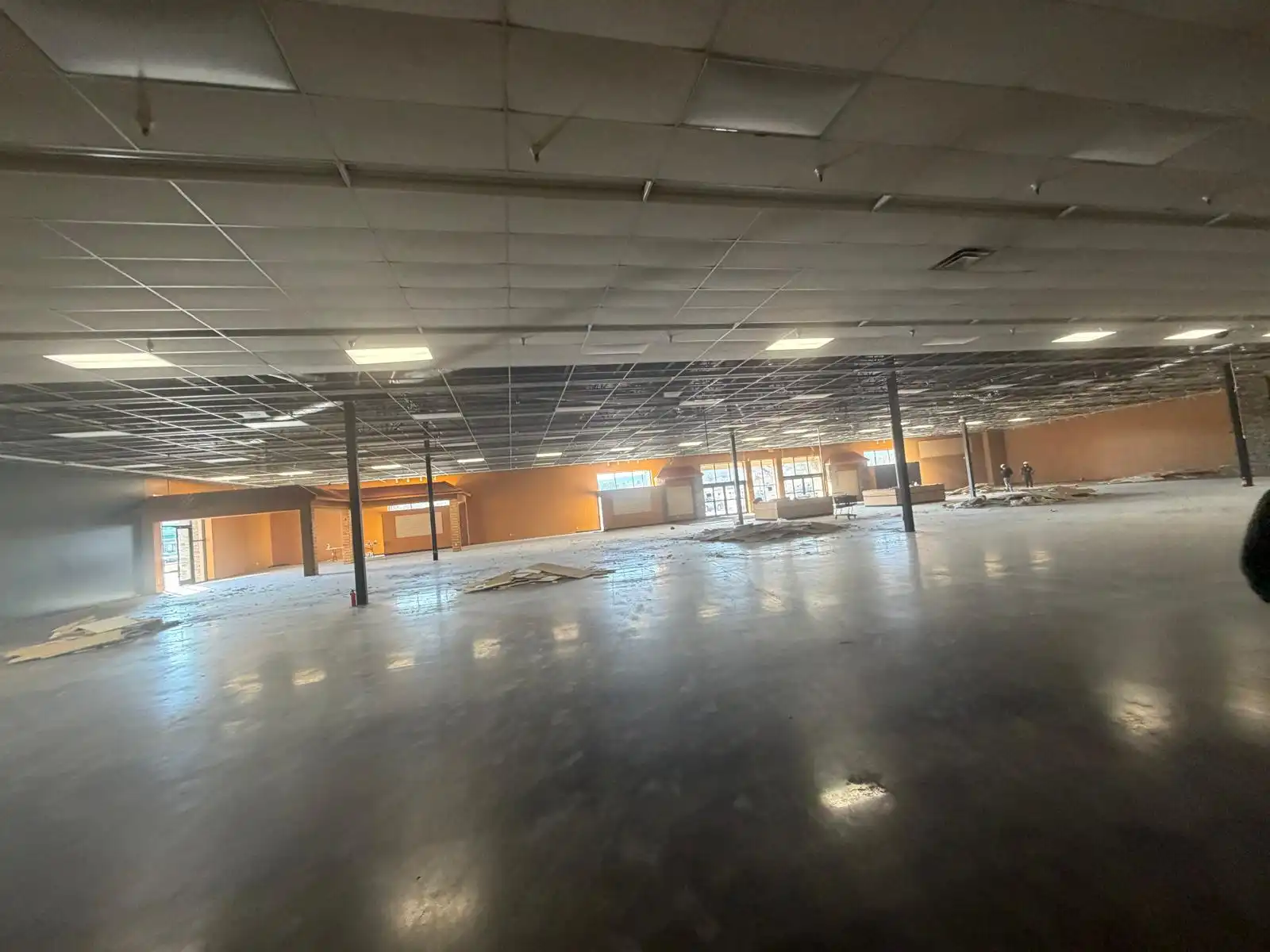 Ace Pickleball - Image 4