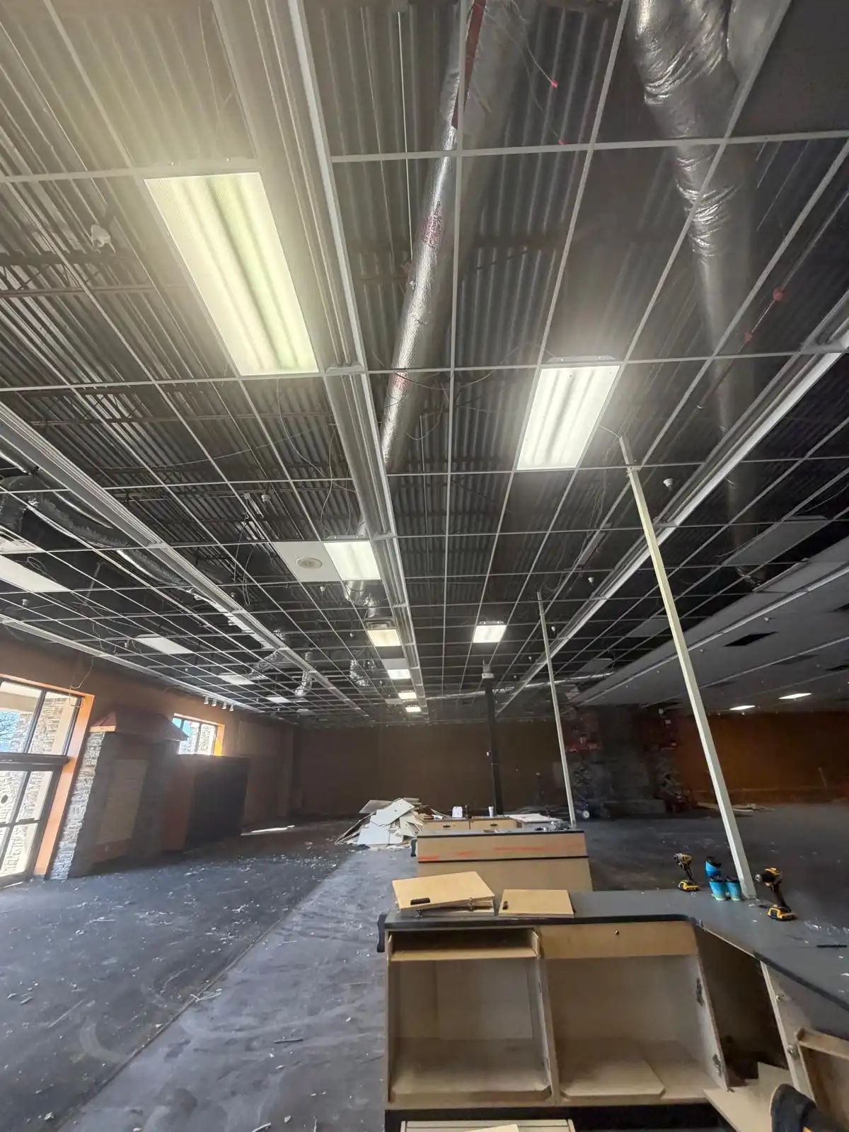 Ace Pickleball - Image 5