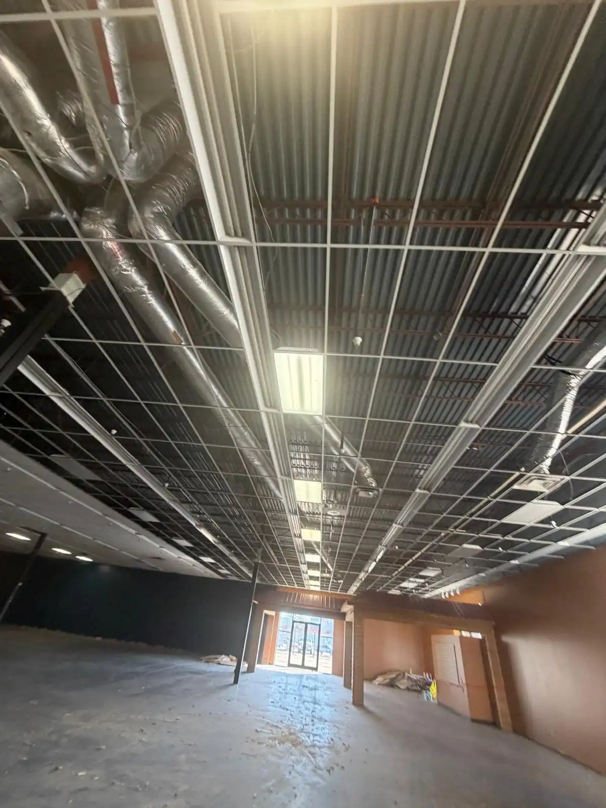 Ace Pickleball - Image 6